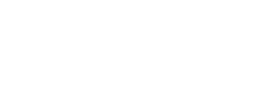 Opus Advisers